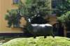 dsc_0119_small.jpg