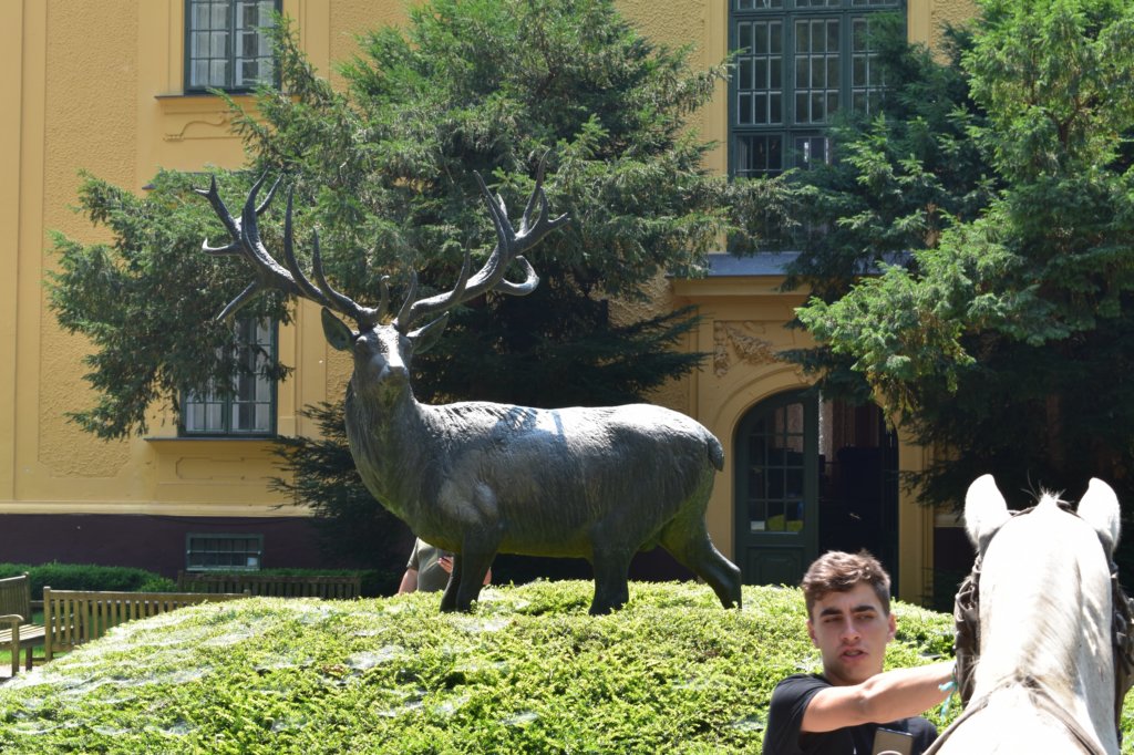 dsc_0121.jpg