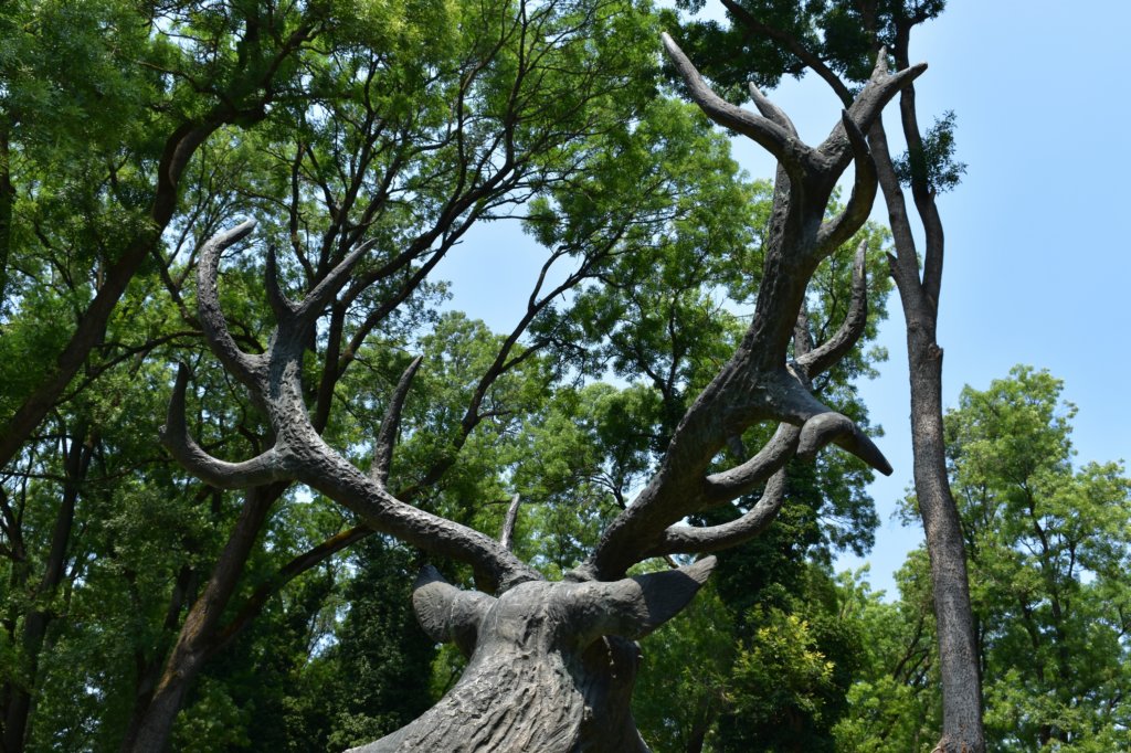 dsc_0126.jpg