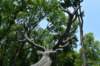 dsc_0126_small.jpg