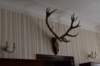 dsc_0140_small.jpg