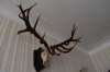 dsc_0152_small.jpg