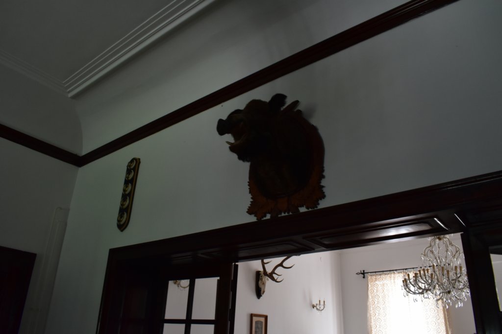 dsc_0157.jpg
