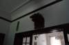 dsc_0157_small.jpg