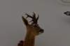dsc_0158_small.jpg