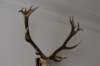 dsc_0159_small.jpg