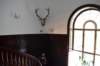 dsc_0164_small.jpg