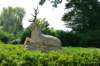 dsc_0184_small.jpg