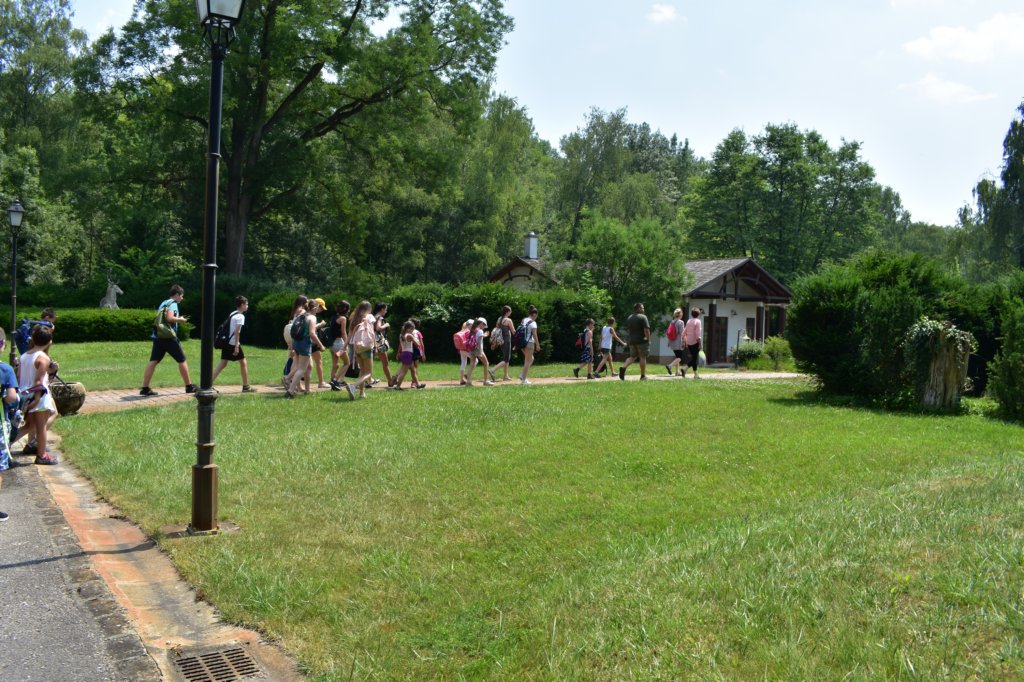 dsc_0187.jpg