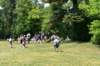 dsc_0207_small.jpg