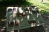 dsc_0210_small.jpg