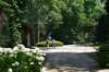 dsc_0211_small.jpg