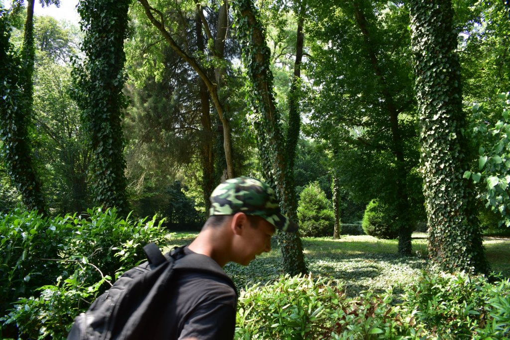dsc_0218.jpg
