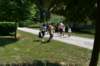 dsc_0228_small.jpg