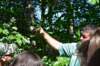 dsc_0291_small.jpg