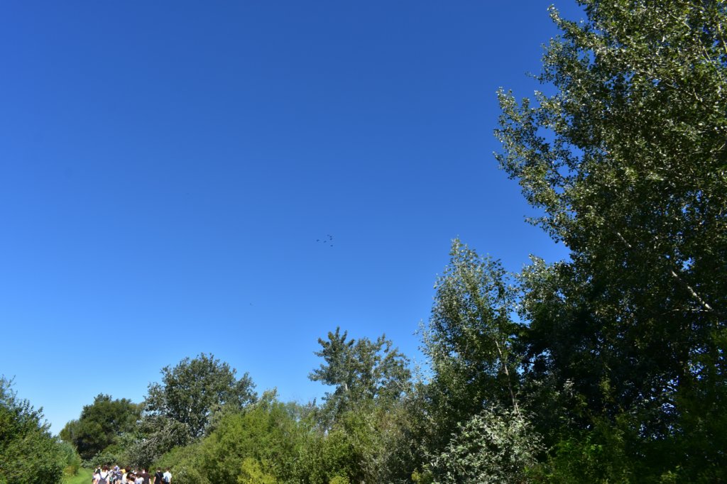 dsc_0309.jpg