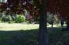 dsc_0398_small.jpg