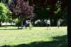 dsc_0405_small.jpg