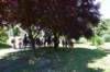 dsc_0409_small.jpg