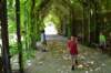 dsc_0488_small.jpg