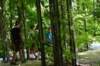 dsc_0491_small.jpg