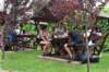 dsc_0540_small.jpg