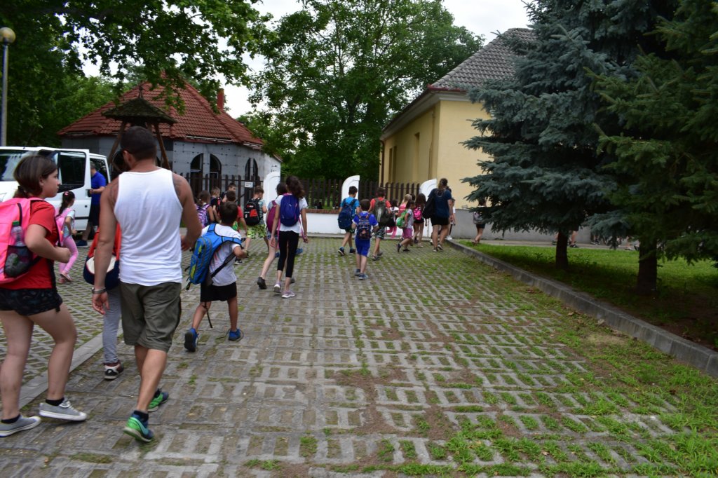 dsc_0555.jpg