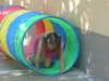 p1100515_small.jpg