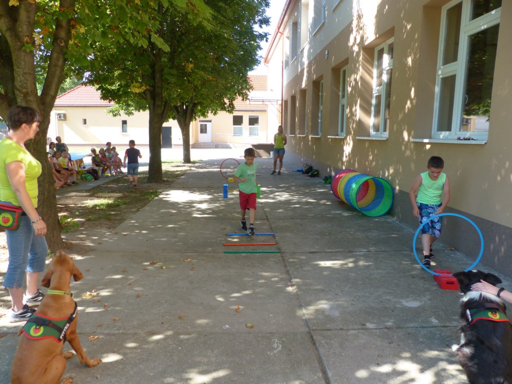 p1100521.jpg