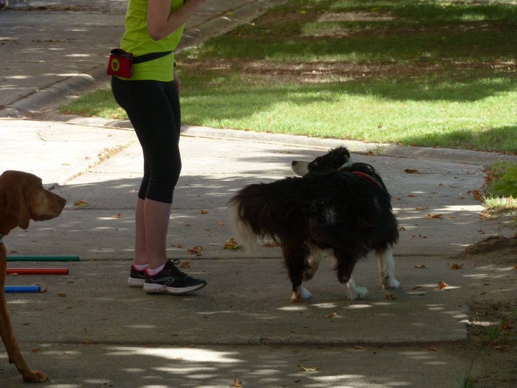 p1100544.jpg