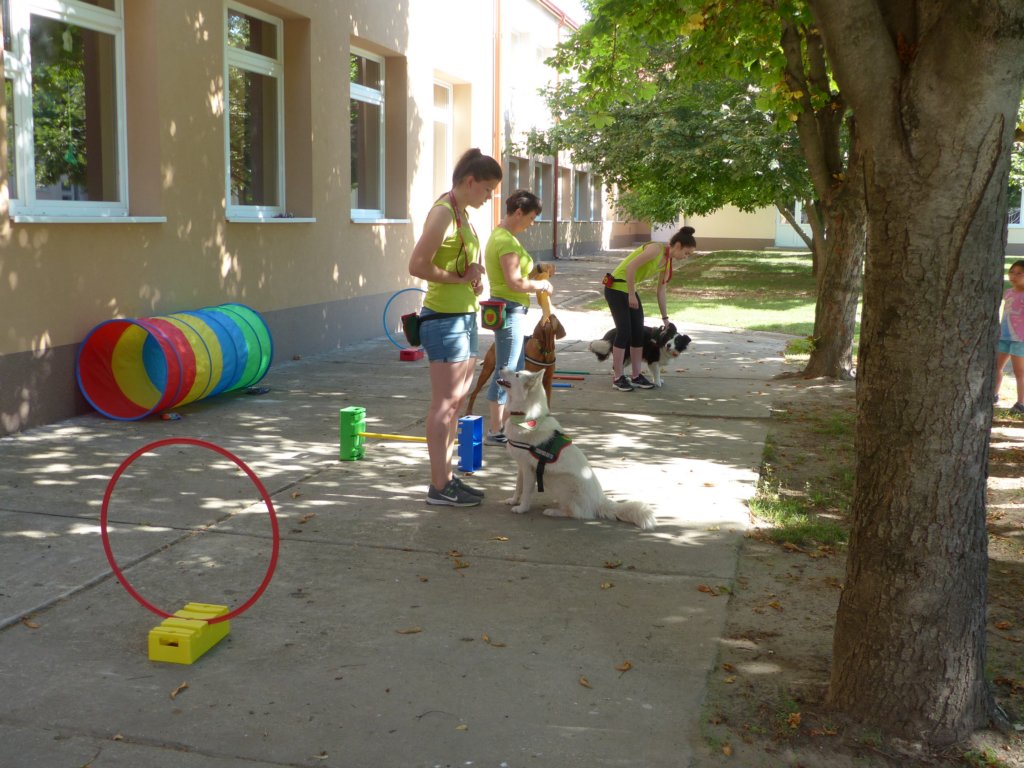 p1100549.jpg