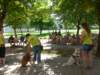 p1100597_small.jpg
