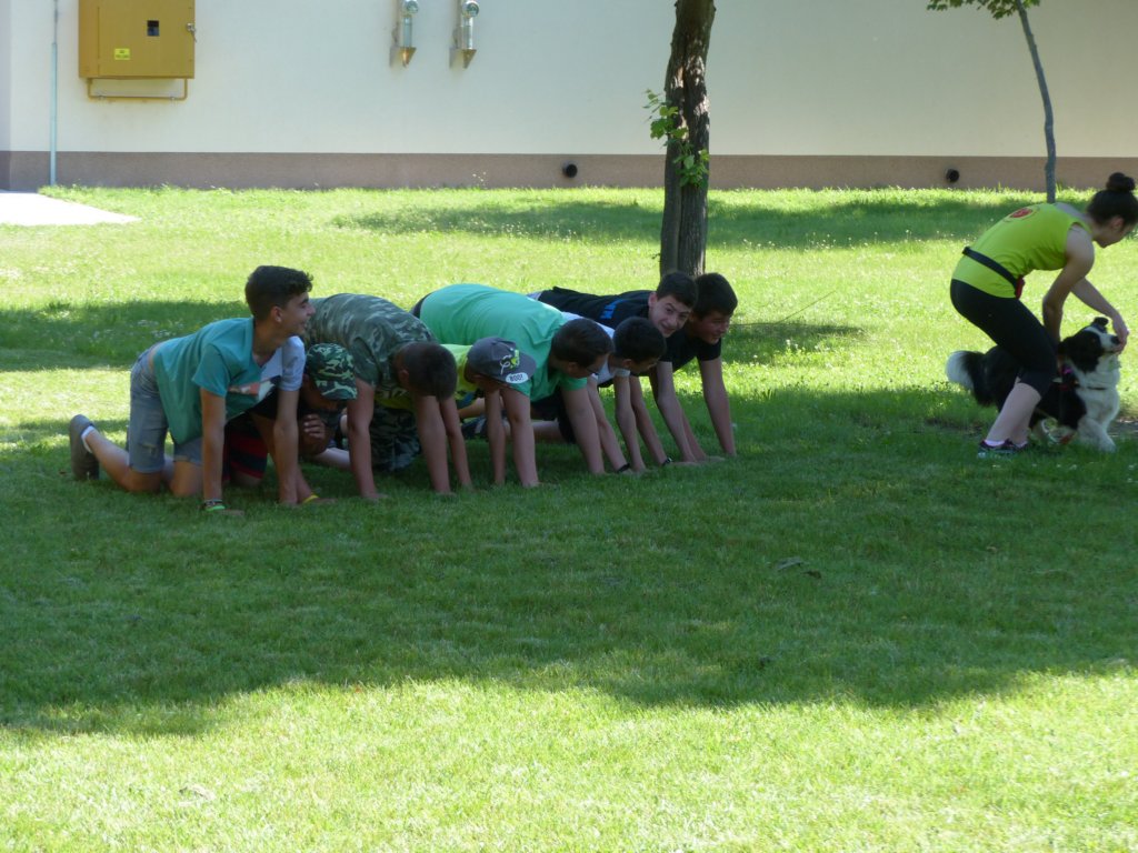p1100621.jpg