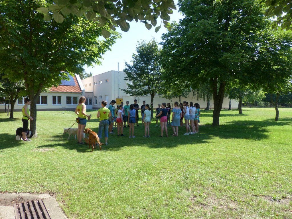 p1100630.jpg