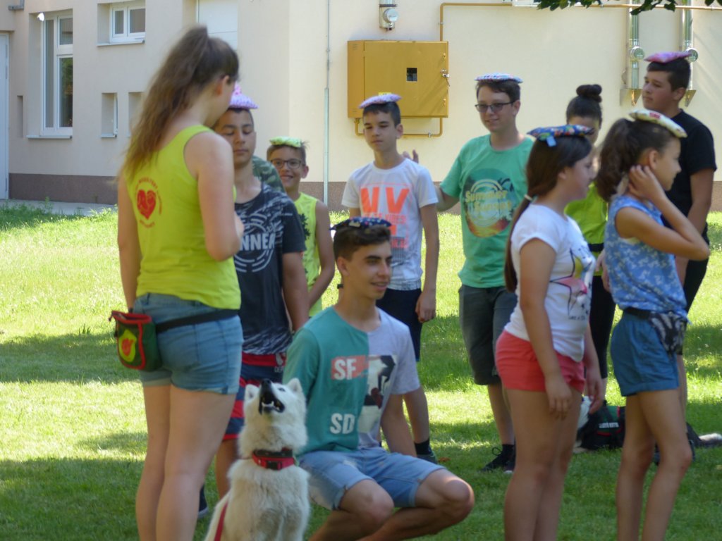 p1100636.jpg