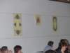 p1090396_small.jpg
