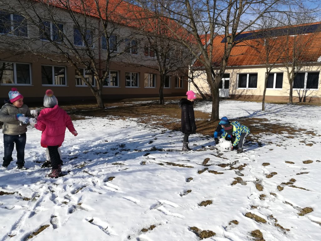 img_20210201_131257.jpg