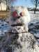img_20210201_135026_small.jpg