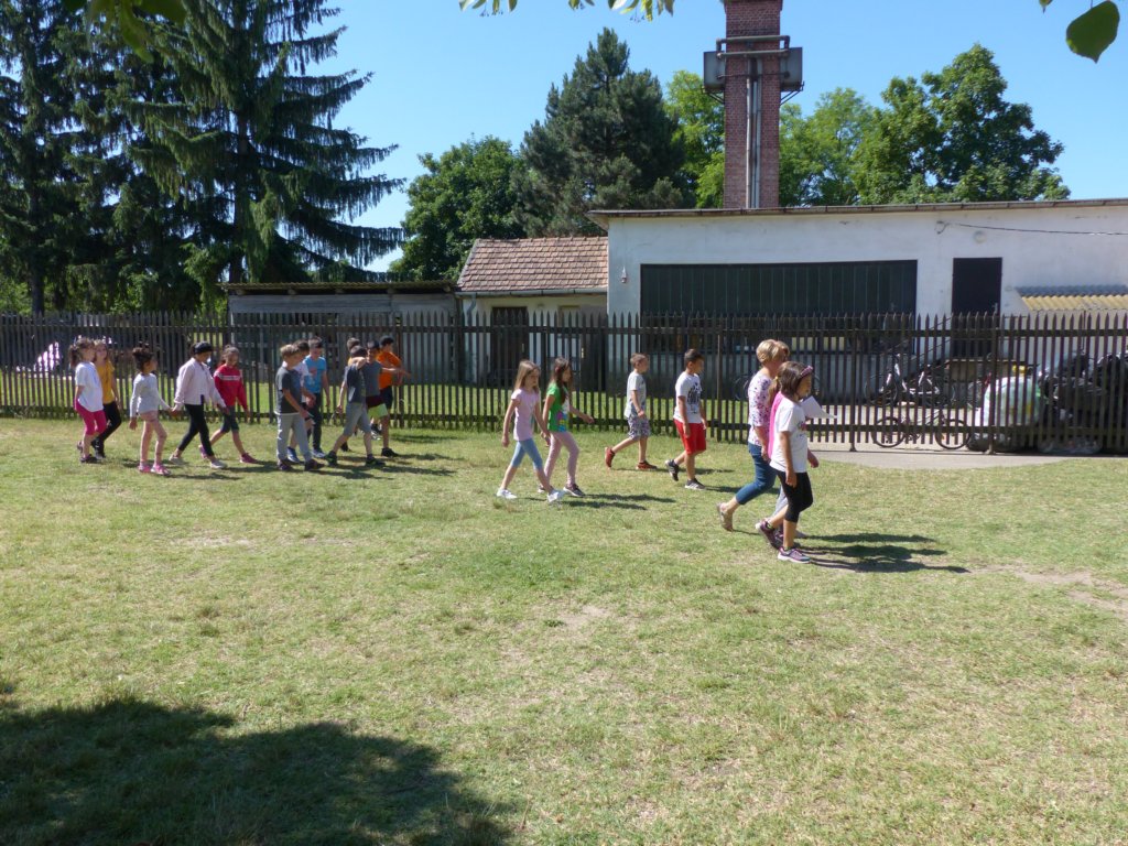 p1150335.jpg