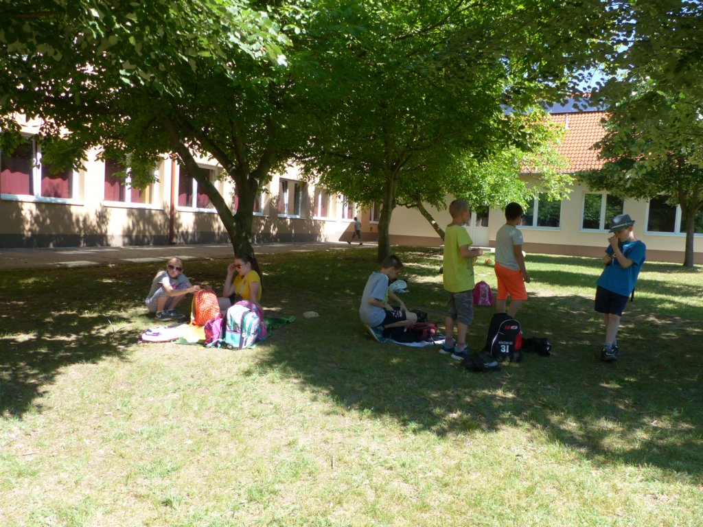 p1150433.jpg