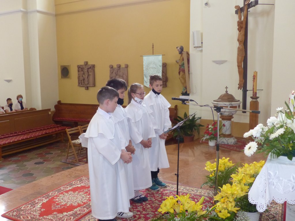 p1150065.jpg