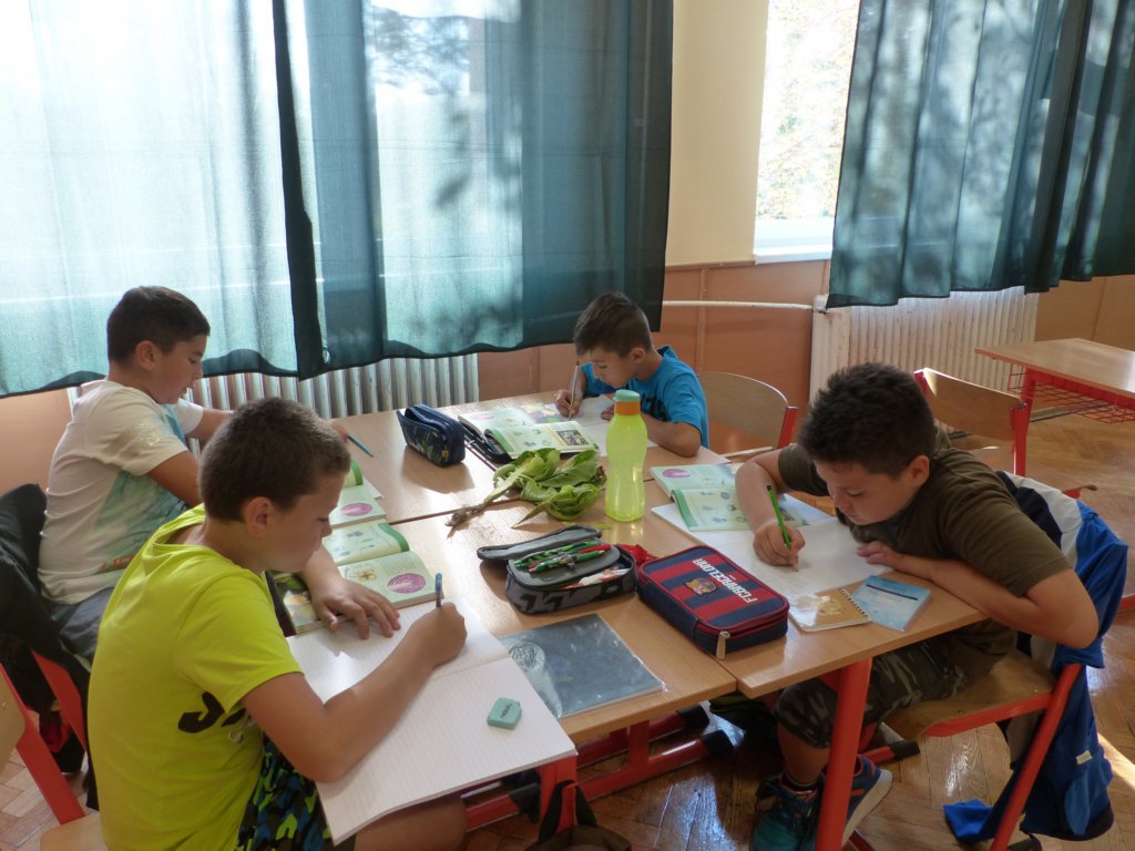 p1110663.jpg