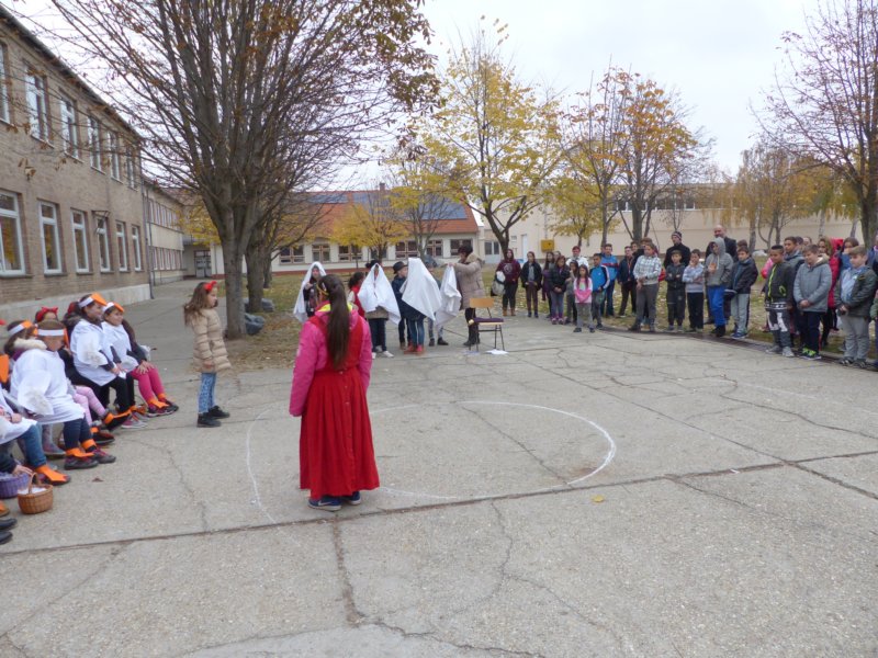 p1010379.jpg