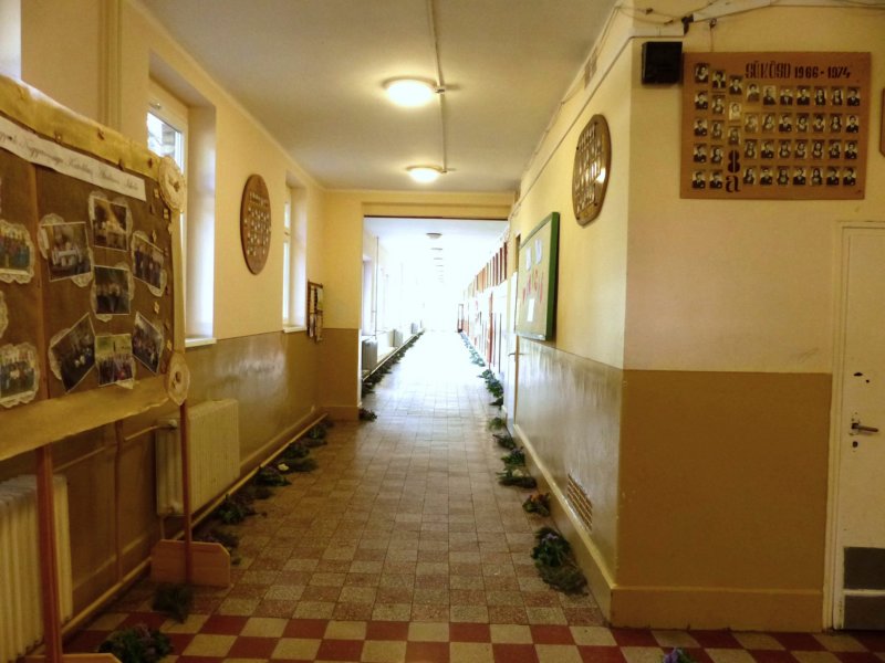 p1010119.jpg