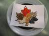 dscf1717_small.jpg