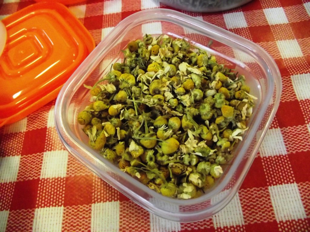 dscf1735.jpg