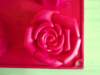 dscf1739_small.jpg