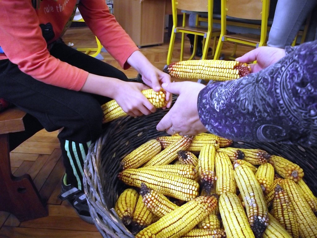 dscf1757.jpg