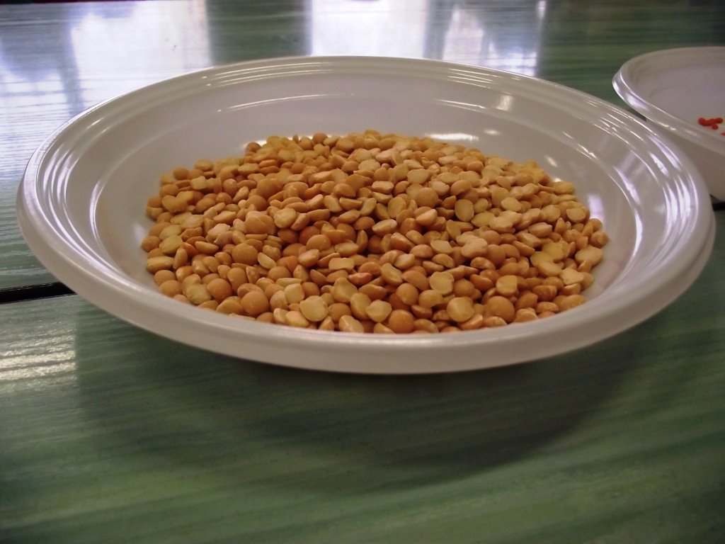 dscf1764.jpg