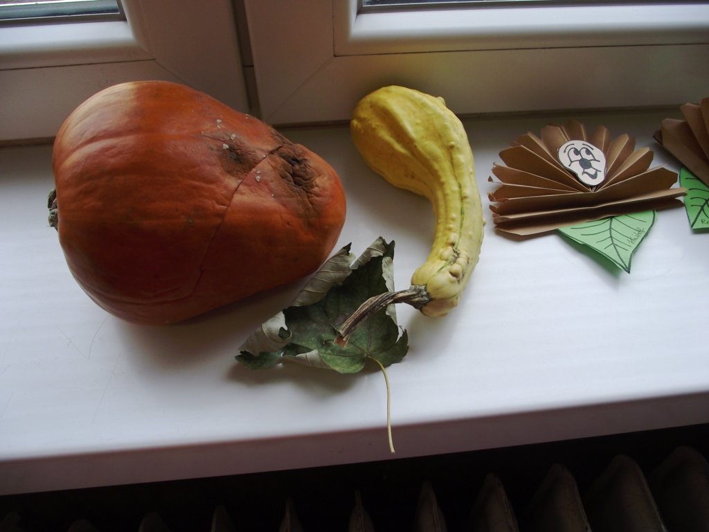 dscf1832.jpg